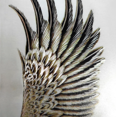 1766027278933477.png image.png