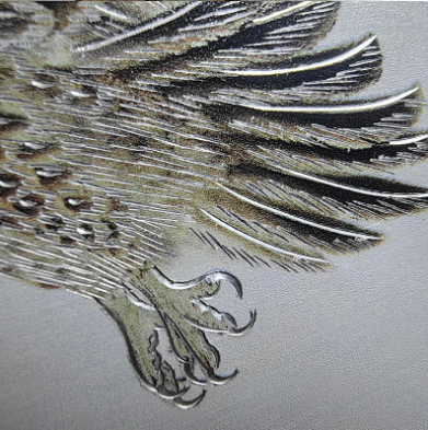 1766027286359560.png image.png